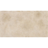 PETRA BEIGE MAT 31X56 GAT.1 (P.73055)