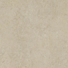 CORAL STONE BEIGE MAT 60X60 GAT.1 (P.73307)