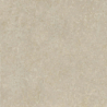 CORAL STONE BEIGE MAT 60X60 GAT.1 (P.73307)