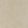 CORAL STONE BEIGE MAT 60X60 GAT.1 (P.73307)