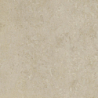 CORAL STONE BEIGE MAT 60X60 GAT.1 (P.73307)