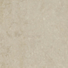 CORAL STONE BEIGE MAT 60X60 GAT.1 (P.73307)