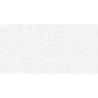TERRA VIVA BLANCO MAT 30X60 REKT. GAT.1 (P.74003)