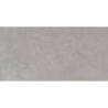 NORTH STONE GRIS MAT 60X120 REKT. GAT.1 (P.74285)