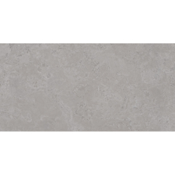 NORTH STONE GRIS MAT 60X120 REKT. GAT.1 (P.74285)
