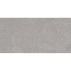 NORTH STONE GRIS MAT 60X120 REKT. GAT.1 (P.74285)