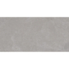 NORTH STONE GRIS MAT 60X120 REKT. GAT.1 (P.74285)