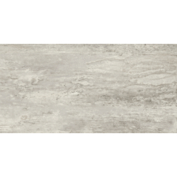 VERMONT GRIS MAT 30X60 GAT.1 (P.73169)