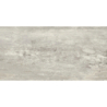 VERMONT GRIS MAT 30X60 GAT.1 (P.73169)