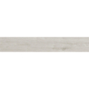 ARENDAL BLANCO IMN MAT 20X120 REKT. GAT.1 (P.73785)