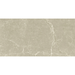 DIVERSO BEIGE MAT 60X120 REKT. GAT.1 (P.73473)