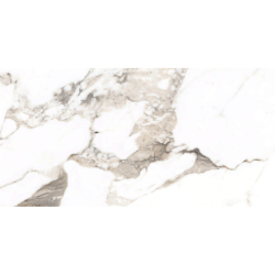 CALACATTA GOLD MAT 60X120...