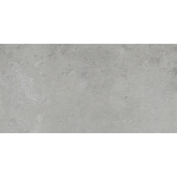 SUNSET GRIS MAT 60X120 REKT. GAT.1 (P.74025)