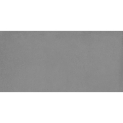 ICONIC GRIS MAT 60X120...