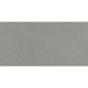 FRENCH STONE GRIS MAT 30X60 REKT. GAT.1 (P.73871)