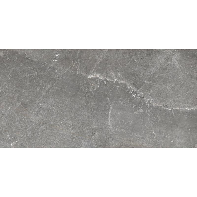 DIVERSO GRIS MAT 60X120 REKT. GAT.1 (P.73469)