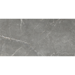 DIVERSO GRIS MAT 60X120 REKT. GAT.1 (P.73469)