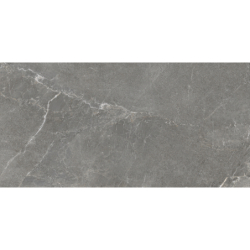 DIVERSO GRIS MAT 60X120 REKT. GAT.1 (P.73469)