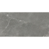 DIVERSO GRIS MAT 60X120 REKT. GAT.1 (P.73469)