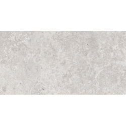 OLIMPIA GRIS MAT 60X120 REKT. GAT.1 (P.74337)