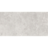OLIMPIA GRIS MAT 60X120 REKT. GAT.1 (P.74337)