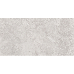 OLIMPIA GRIS MAT 60X120 REKT. GAT.1 (P.74337)