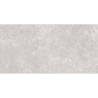 OLIMPIA GRIS MAT 60X120 REKT. GAT.1 (P.74337)