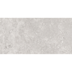 OLIMPIA GRIS MAT 60X120 REKT. GAT.1 (P.74337)