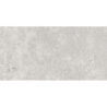 OLIMPIA GRIS MAT 60X120 REKT. GAT.1 (P.74337)