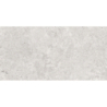 OLIMPIA GRIS MAT 60X120 REKT. GAT.1 (P.74337)