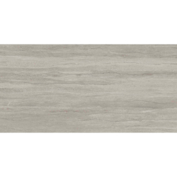 WESTON LINE GRIS MAT 60X120 REKT. GAT.1 (P.73189)