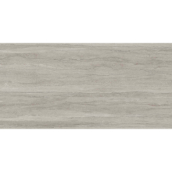 WESTON LINE GRIS MAT 60X120 REKT. GAT.1 (P.73189)