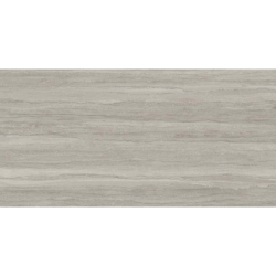 WESTON LINE GRIS MAT 60X120 REKT. GAT.1 (P.73189)