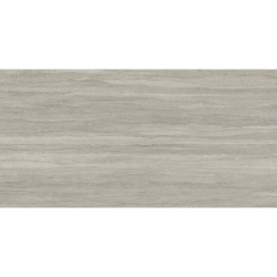 WESTON LINE GRIS MAT 60X120 REKT. GAT.1 (P.73189)