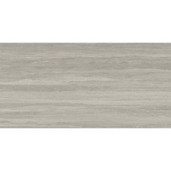 WESTON LINE GRIS MAT 60X120 REKT. GAT.1 (P.73189)