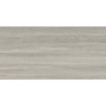 WESTON LINE GRIS MAT 60X120 REKT. GAT.1 (P.73189)
