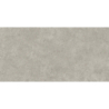 WESTON CROSS GRIS MAT 60X120 REKT. GAT.1 (P.73239)
