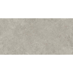WESTON CROSS GRIS MAT 60X120 REKT. GAT.1 (P.73239)