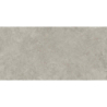 WESTON CROSS GRIS MAT 60X120 REKT. GAT.1 (P.73239)