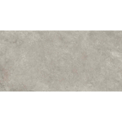 WESTON CROSS GRIS MAT 60X120 REKT. GAT.1 (P.73239)