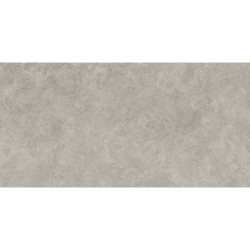 WESTON CROSS GRIS MAT 60X120 REKT. GAT.1 (P.73239)