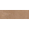 MEDITERRANEA CORAL MAT 31,5X100 REKT. GAT.1 (P.74365)
