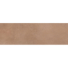 MEDITERRANEA CORAL MAT 31,5X100 REKT. GAT.1 (P.74365)