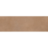 MEDITERRANEA CORAL MAT 31,5X100 REKT. GAT.1 (P.74365)