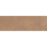 MEDITERRANEA CORAL MAT 31,5X100 REKT. GAT.1 (P.74365)