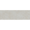 COLORLINE MARFIL MAT 31,5X100 REKT. GAT.1 (P.73359)