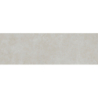 COLORLINE MARFIL MAT 31,5X100 REKT. GAT.1 (P.73359)
