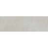 COLORLINE MARFIL MAT 31,5X100 REKT. GAT.1 (P.73359)