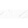 VENATO POŁYSK 31,5X100 REKT. GAT.1 (P.73147)