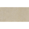 CORAL STONE ARENA MAT 60X120 REKT. GAT.1 (P.73283)